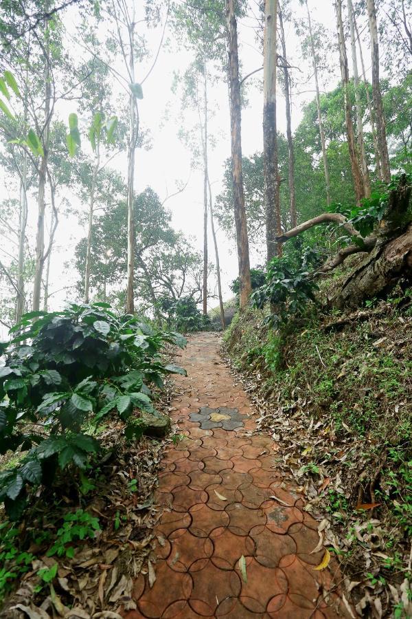 Green Magic Home Munnar Exterior photo