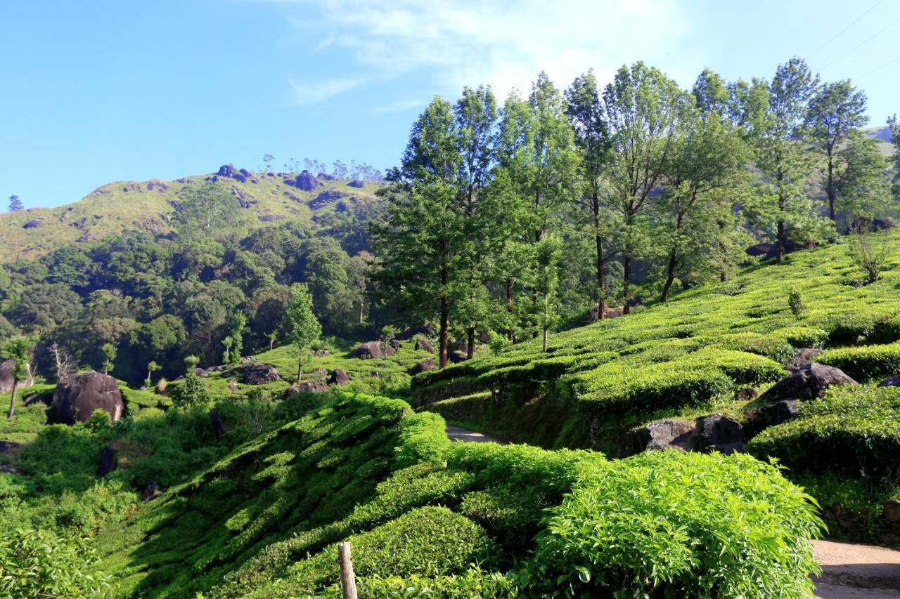 Green Magic Home Munnar Exterior photo