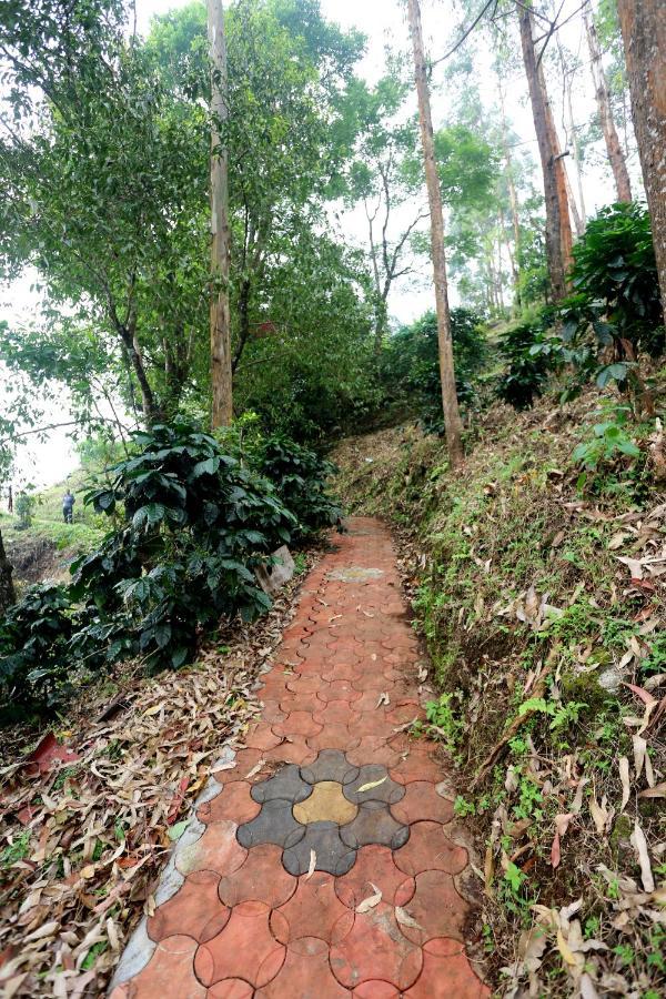 Green Magic Home Munnar Exterior photo