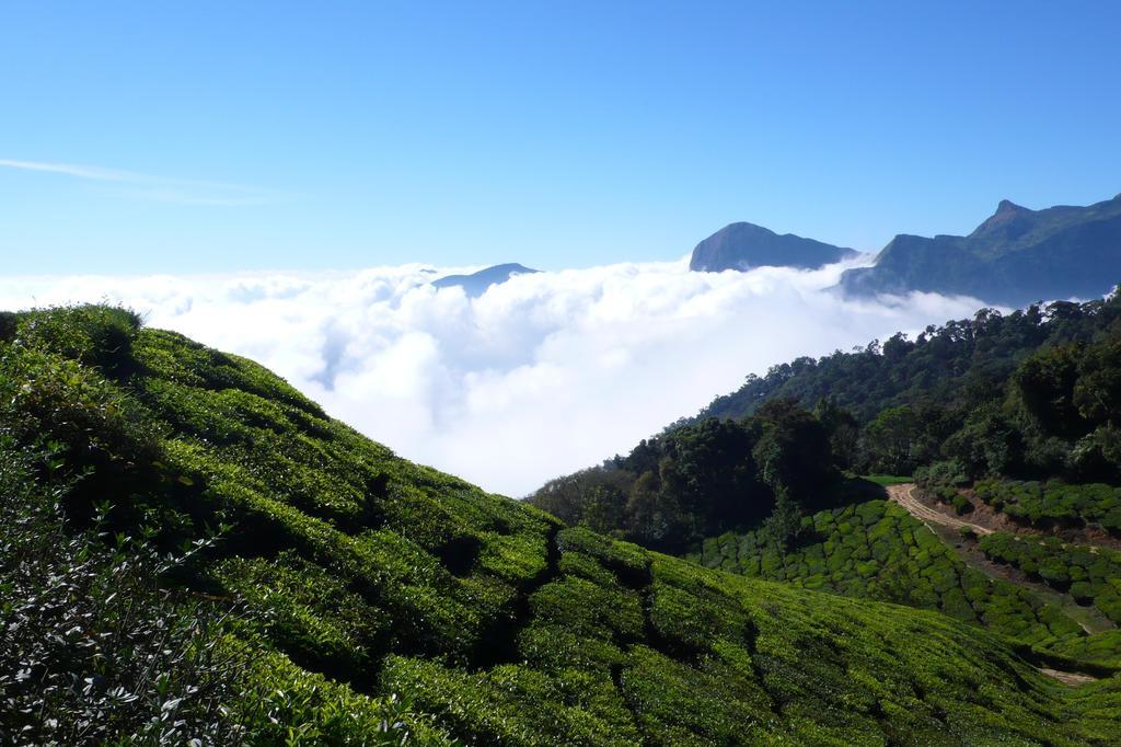 Green Magic Home Munnar Exterior photo