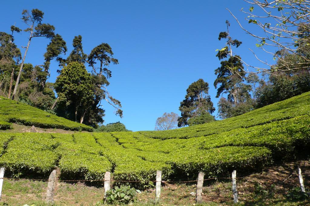 Green Magic Home Munnar Exterior photo