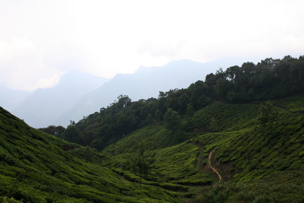 Green Magic Home Munnar Exterior photo